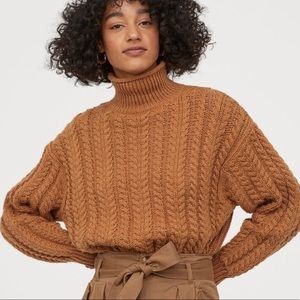 H&M Cable Knit Sweater